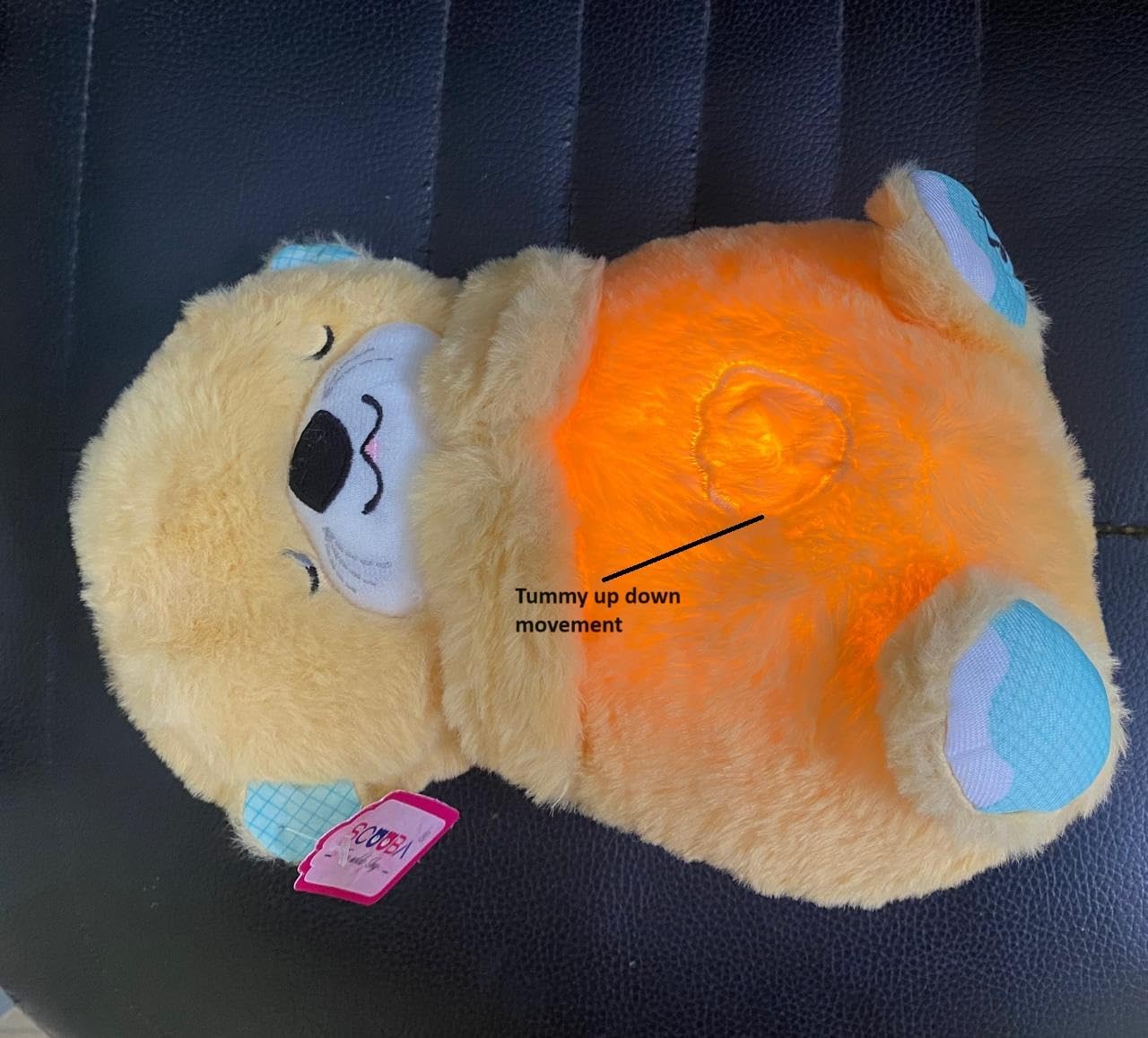 SnuggleBreath Teddy 💞